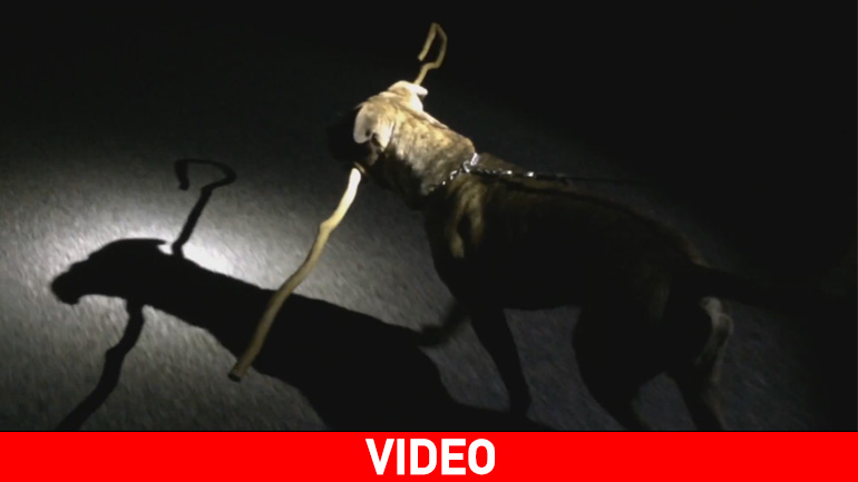 Ο Κάρλος που έγινε… Καρλιτάκης και δεν αποχωρίζεται την κατσούνα του