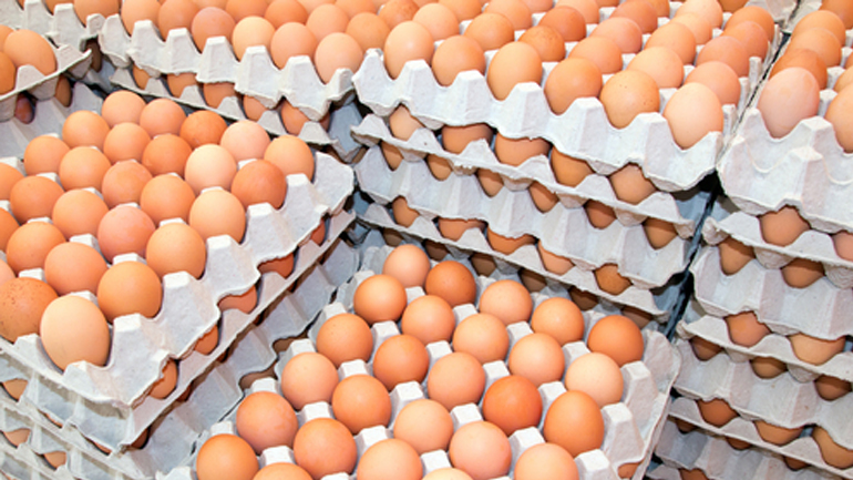 Ο «αυγοβόλος» του Ρεθύμνου