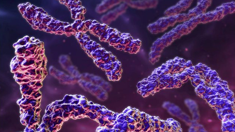 Η σημασία των γονιδίων του Ψ χρωμοσώματος