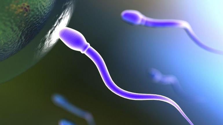 Κινέζοι έφτιαξαν τεχνητό σπέρμα