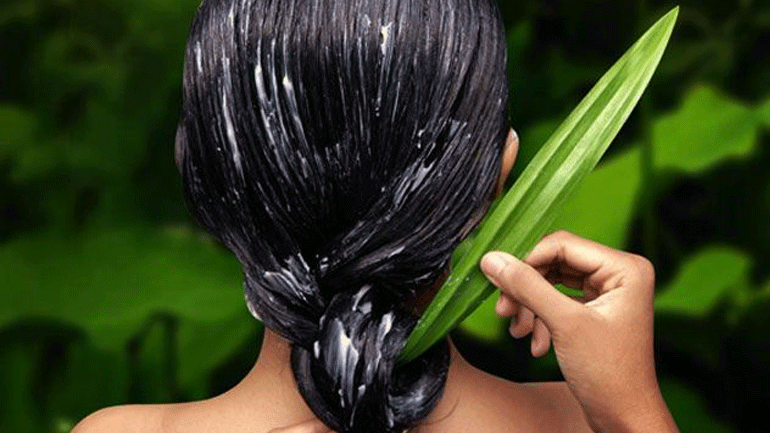 Λύστε τους κόμπoυς από τα μαλλιά σας με aloe vera!