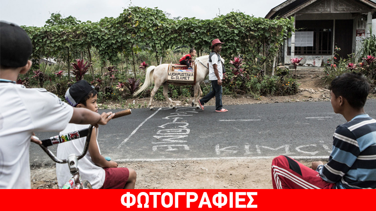 Ινδονησία: Άλογο… κινητή βιβλιοθήκη κατά του αναλφαβητισμού