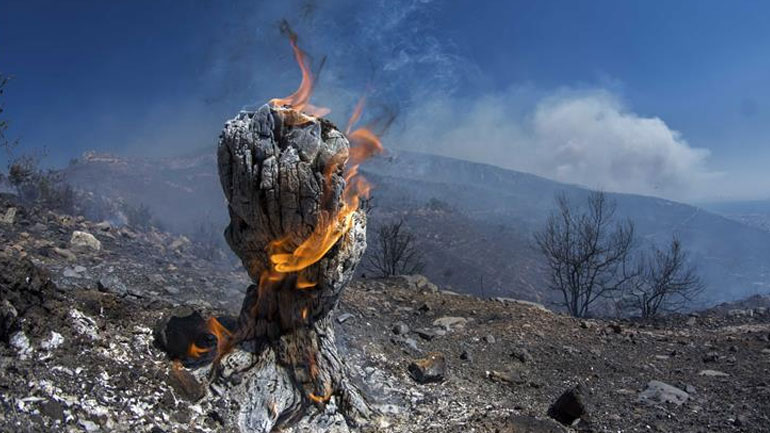 Χανιά: Σε ύφεση η μεγάλη φωτιά που ξέσπασε τη νύχτα στην Κίσαμο