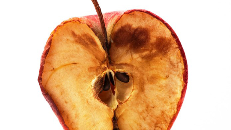 Μπαταρίες νατρίου από σάπια φρούτα και πεσμένα φύλλα