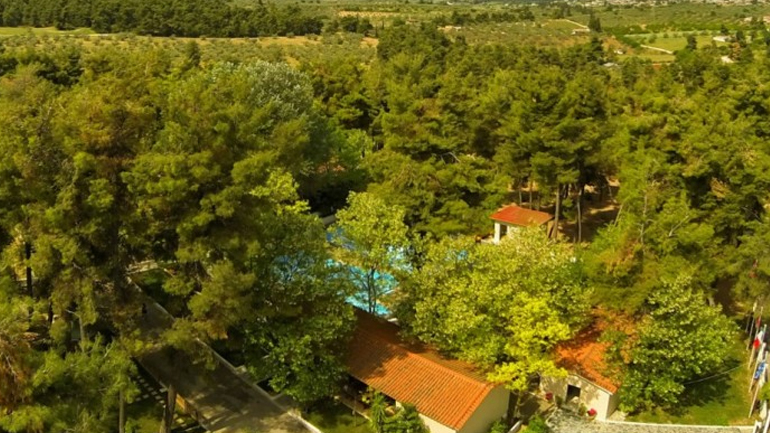 Hotspot oι παιδικές κατασκηνώσεις των τραπεζών!