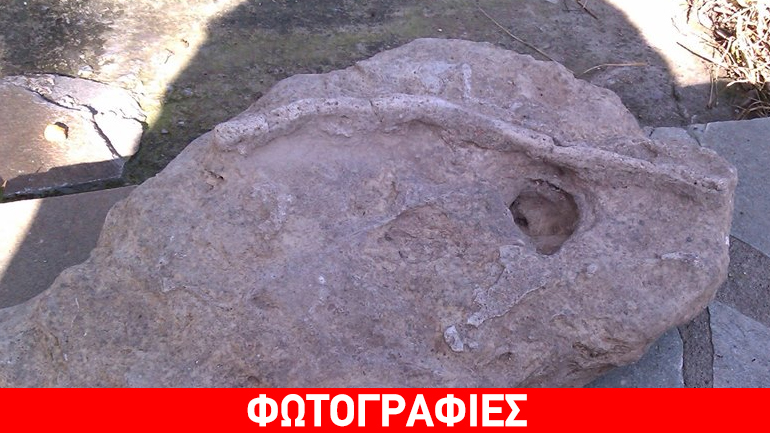 Περαστικός βρήκε απολιθωμένο φίδι