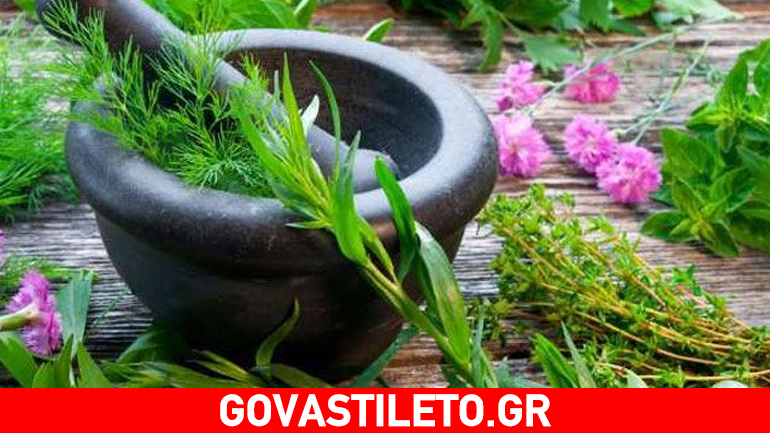 Γυναικολογικές παθήσεις και τα βότανα του Ιπποκράτη