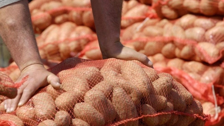 Δεσμεύτηκαν 25 τόνοι πατάτας από την Περιφέρεια Πειραιά