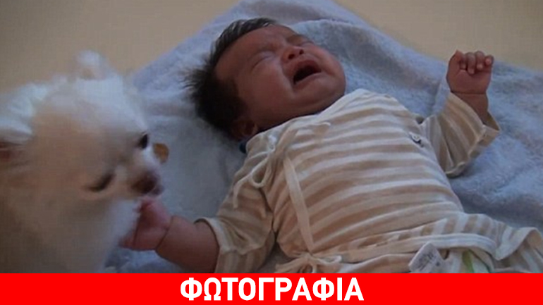 Αυτός ο σκύλος λατρεύει τα μωρά