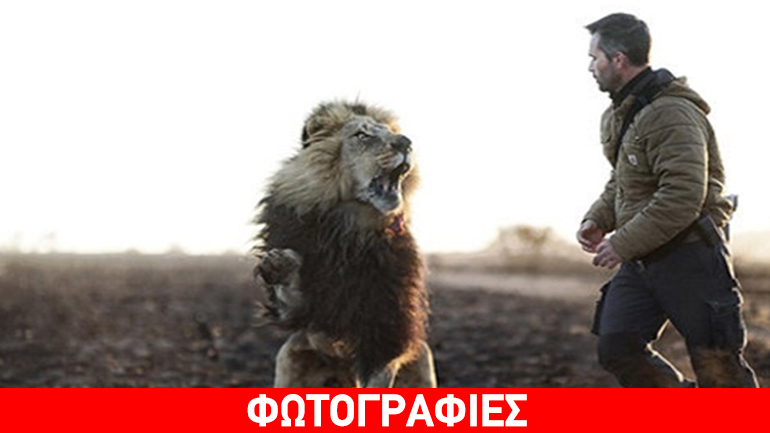 Ήρθε αντιμέτωπος με λιοντάρια και…