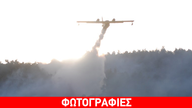 Φωτιά καίει πευκοδάσος στη Σκόπελο