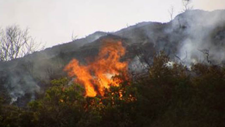 Υπό έλεγχο η δασική πυρκαγιά στη Σκόπελο