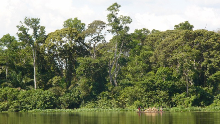 Η Λαϊκή Δημοκρατία του Κονγκό «ανοίγει» τα τροπικά δάση της στους υλοτόμους