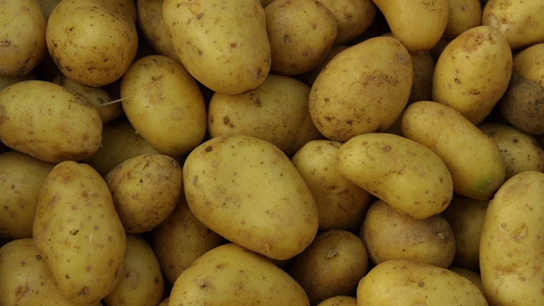 Κατασχέθηκαν 7,2 τόνοι μολυσμένης πατάτας Γαλλίας