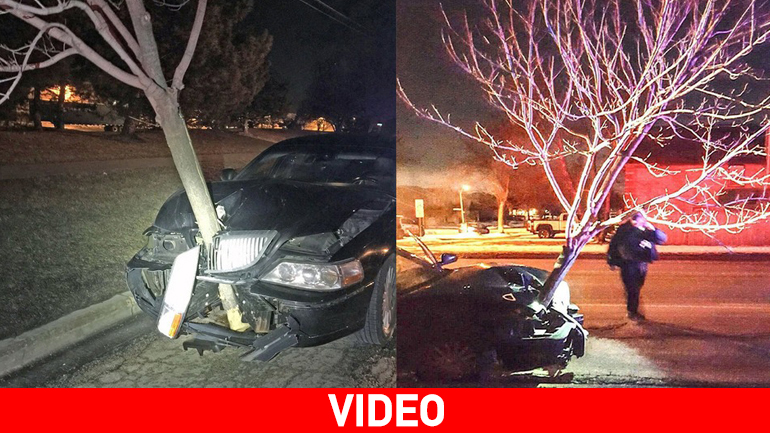 Έπεσε σε δέντρο και το πήρε μαζί!