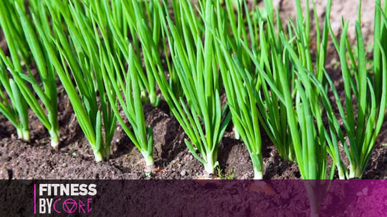 Αυτό το λαχανικό θα κάνει τα οστά σου σιδερένια