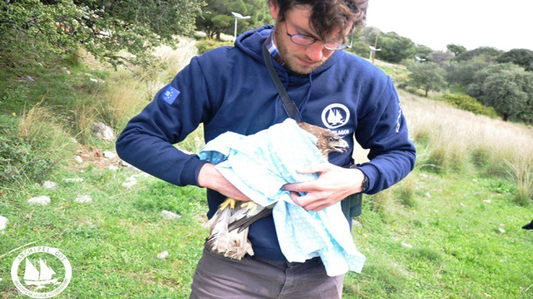 Αρχιπέλαγος: Αυτοί που θανατώνουν άγρια ζώα σκοτώνουν το μέλλον μας