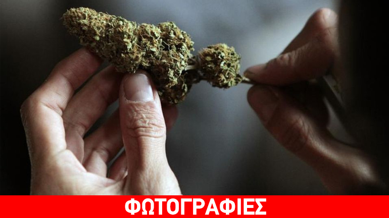 Θεσσαλονίκη: Έκρυβαν κάνναβη στις κατοικίες τους