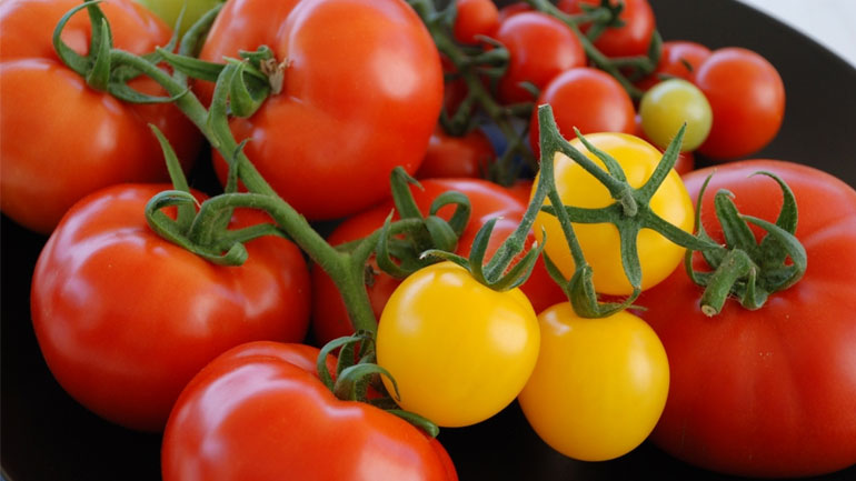 Δέσμευση 1277 κιλών κηπευτικών