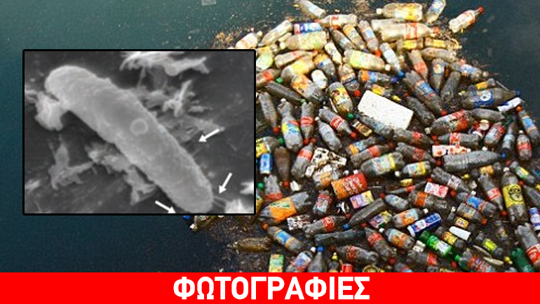 Ιαπωνία: Επιστήμονες ανακάλυψαν το πρώτο είδος βακτηρίων που «τρώει» πλαστικά