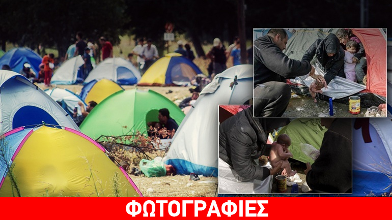 Το θαύμα της ζωής στα λασπόνερα της Ειδομένης