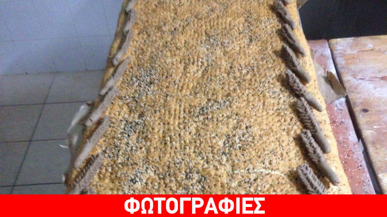 Λαγάνα… γίγας στην Κρήτη