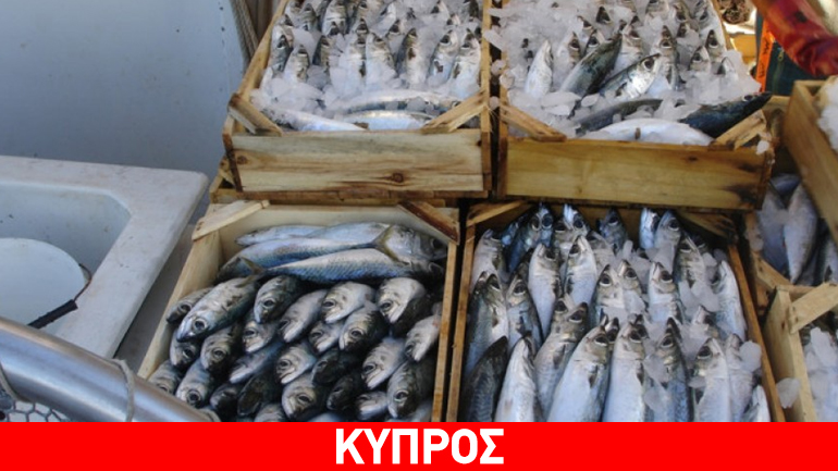 Έκλεψαν χρήματα και τα σαρακοστιανά από εστιατόριο στην Πάφο Έκλεψαν χρήματα και τα σαρακοστιανά από εστιατόριο στην Πάφο