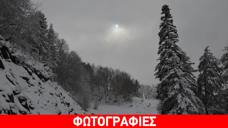 Παραμένει στα… λευκά το Μέτσοβο