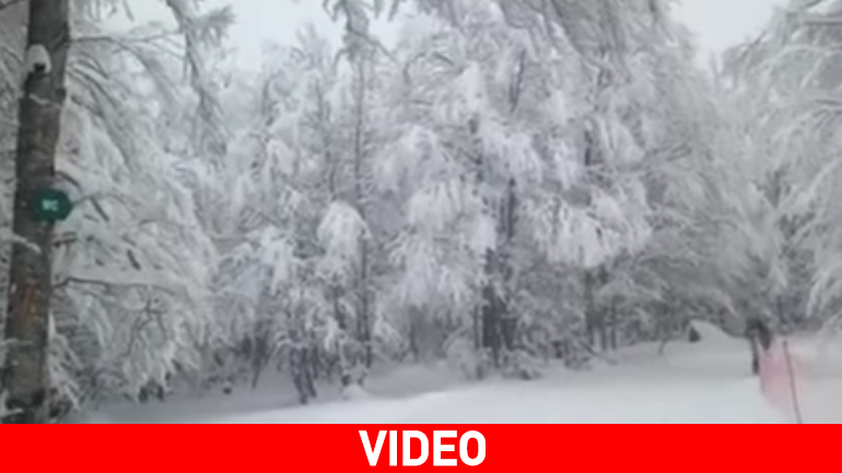 Στα λευκά ντύθηκε η Βασιλίτσα!