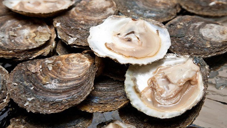 Κατασχέθηκαν οστρακοειδή στην ιχθυόσκαλα του Πειραιά