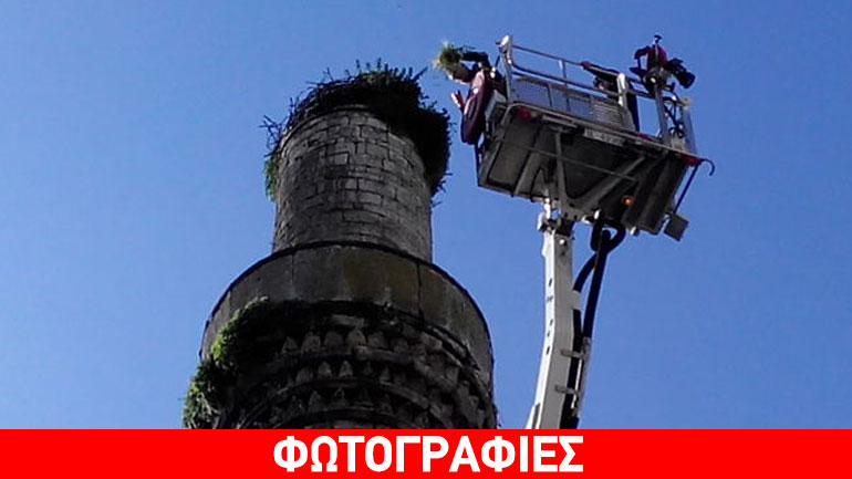 Ιωάννινα: Καθαρισμός κι επιδιόρθωση στη φωλιά των πελαργών!