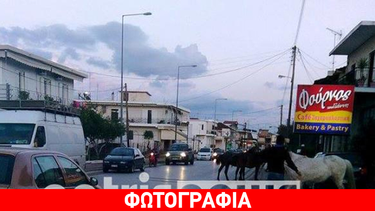 Τα άλογα έκαναν… σκασιαρχείο!