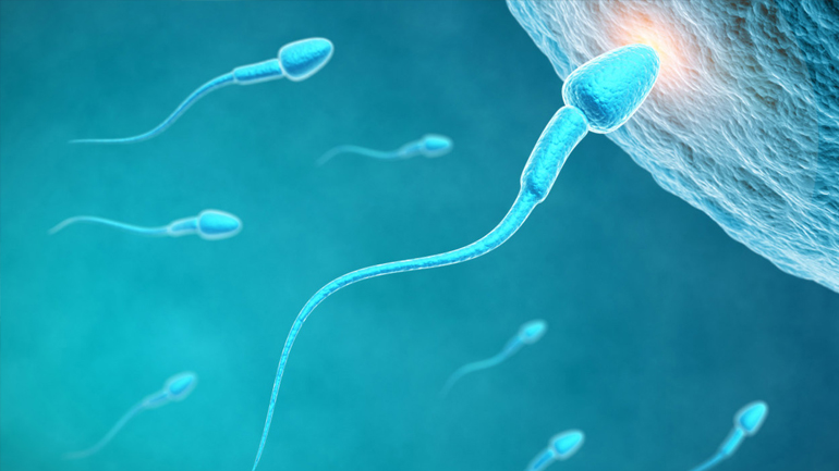 Κινδυνεύει περισσότερο η υγεία των υπογόνιμων ανδρών;