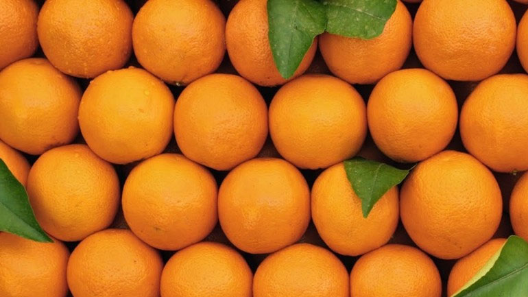 Δέσμευση πορτοκαλιών και κατάσχεση χταποδιών στον Πειραιά