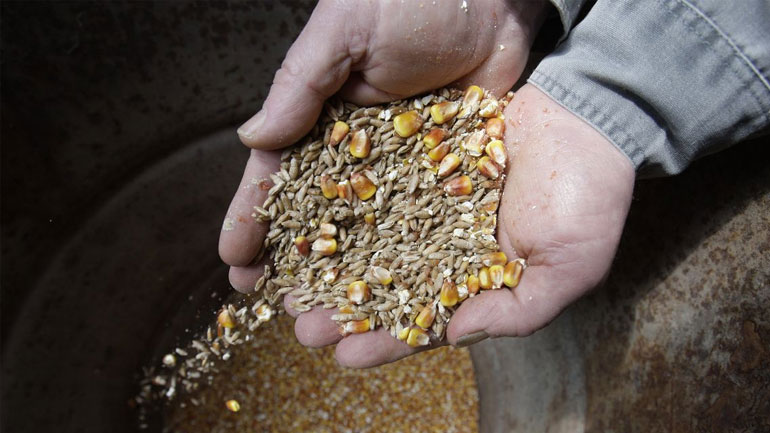 Δέσμευση φορτίου 10 τόνων ζωοτροφών