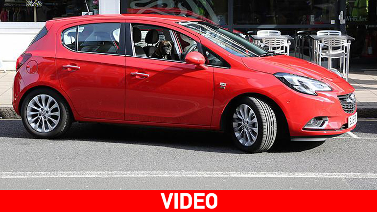 Το πιο εύκολο μικρό αυτοκίνητο στο παρκάρισμα!