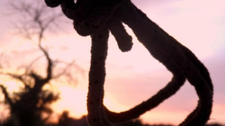 Τραγωδία: Εντοπίστηκε νεκρός ο 40χρονος βοσκός