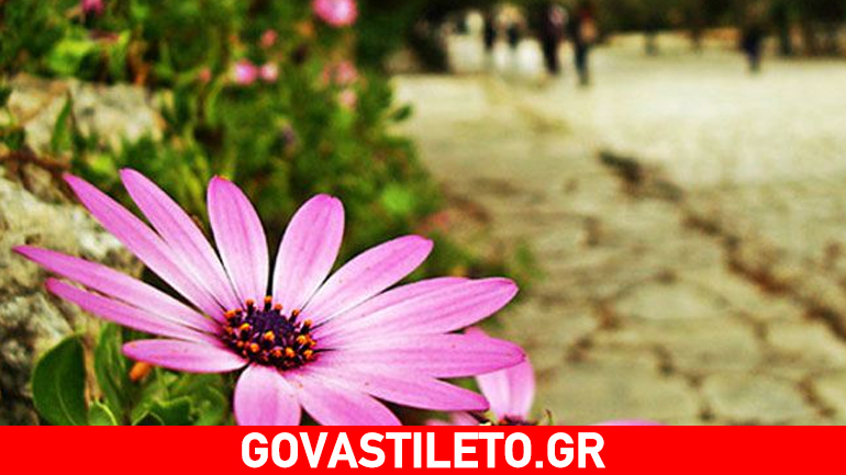 Τα πέντε πράγματα που μπορεί να κρύβει μία ανοιξιάτικη βόλτα