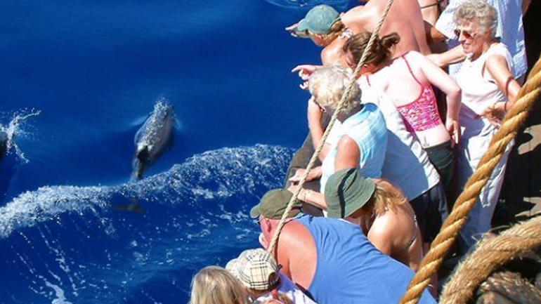 Τουρίστρια κολύμπησε για να προλάβει το… κρουαζιερόπλοιο