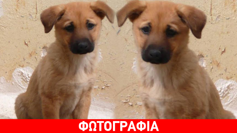 Χαρίζεται η Liberty