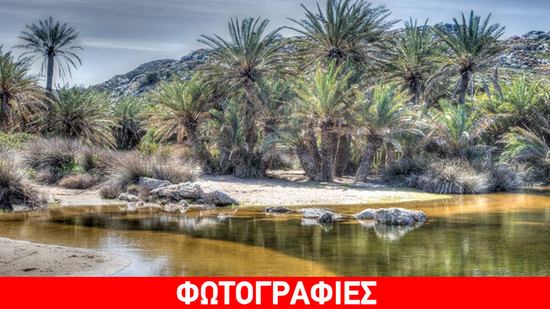 Φοινικόδασος Βάι: Σμαραγδένια νερά, και εξωτικές παραλίες