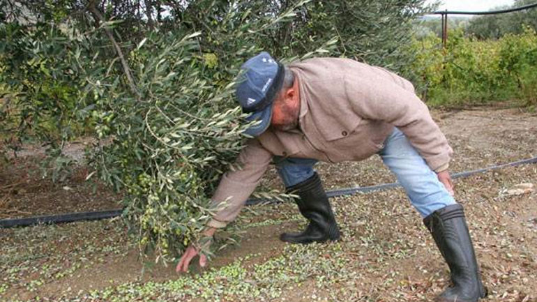 Παράταση έως 30 Ιουνίου για την καταβολή της ειδικής ασφαλιστικής εισφοράς υπέρ ΕΛΓΑ