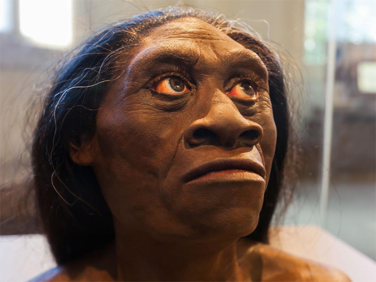 Γλυπτό που απεικονίζει το πρόσωπο του Homo floresiensis