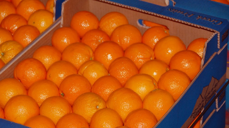 Ιωάννινα: Σε εξέλιξη το πρόγραμμα επισιτιστικής βοήθειας στον Δήμο Δωδώνης