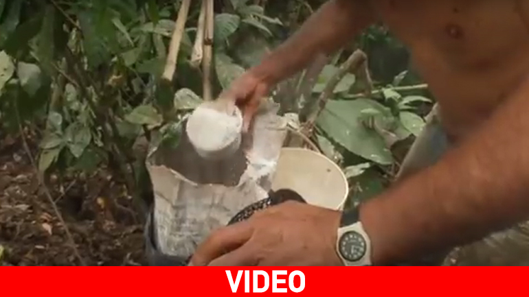 Παράνομο εργοστάσιο κοκαΐνης στη μέση του Αμαζονίου