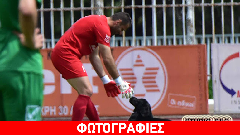 Ένας αδέσποτος σκύλος στο παιχνίδι μεταξύ Παναργειακού- Κανάρη Χίου