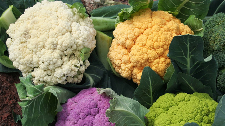 Δέσμευση 2,8 τόνων κηπευτικών χωρίς σήμανση