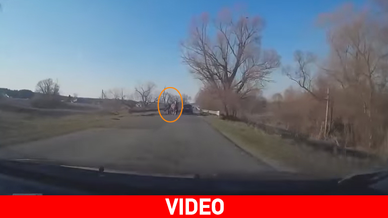 Ασυνήθιστο τροχαίο σε επαρχιακό δρόμο της Ουκρανίας