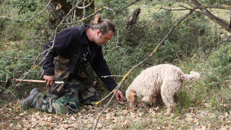 Ξεκίνησε το «κυνήγι» τρούφας στην Καλαμπάκα