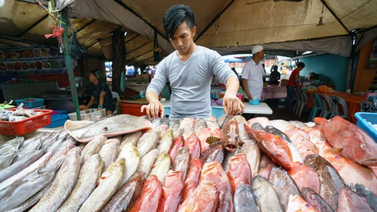 Scientific Reports: Ένα στα τέσσερα ψάρια που τρώμε περιέχει ανθρώπινα σκουπίδια